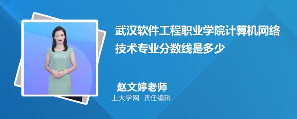 武汉软件工程职业学院人工智能技术应用专业分数线与最低分排名解析
